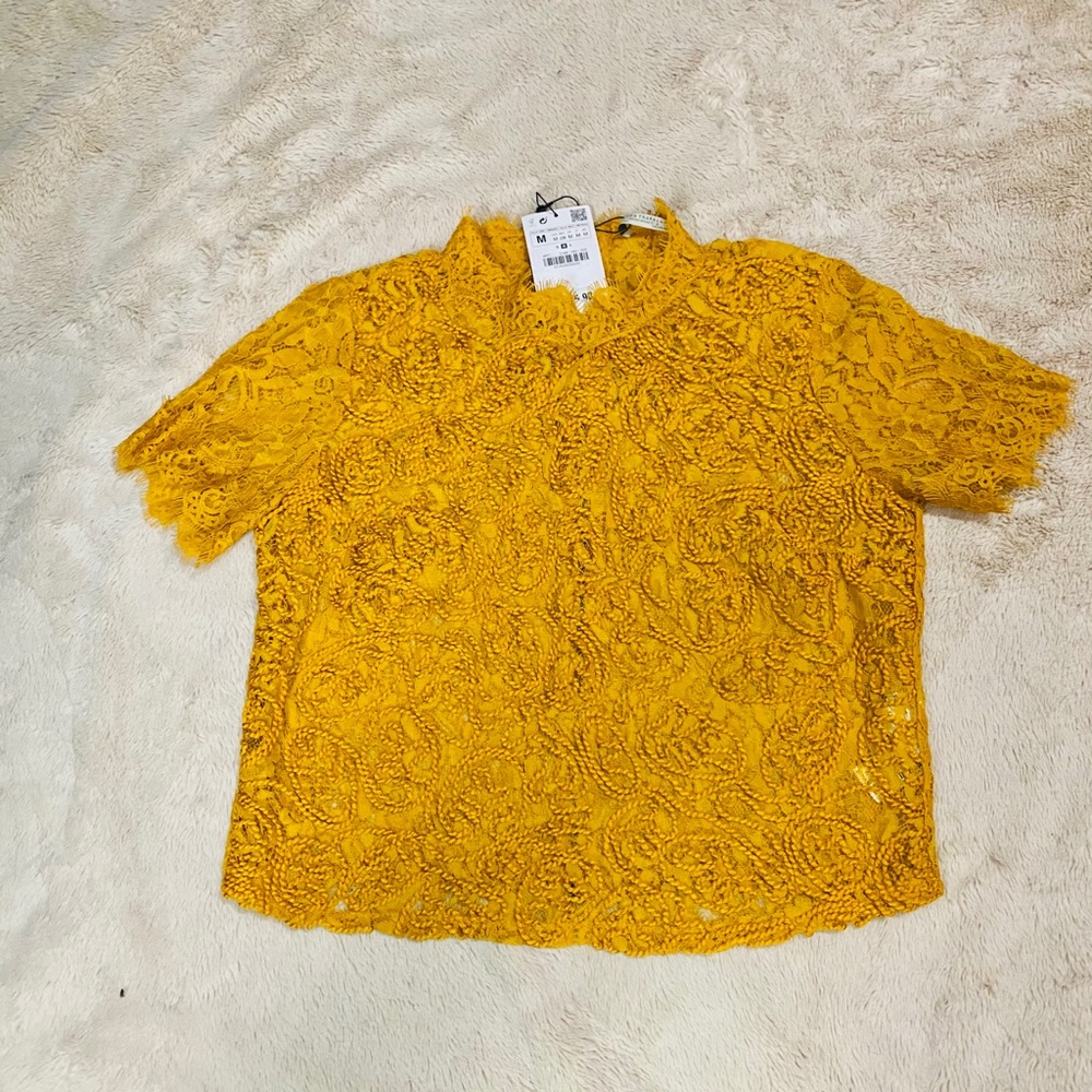 Zara - Picture 2 of 4